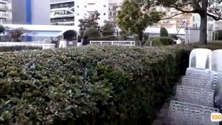 上了个“假”黄网,误入了7亿黑产的大门-华盟网